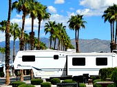 Rincon Country RV and palms 170mini